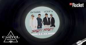 Shaky Shaky (Remix)
