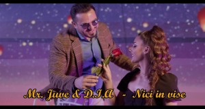 Nici In Vise Bhidio Ciùil