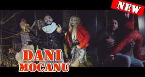 Gina Felea Music Video
