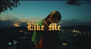 Like Me