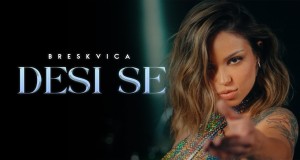 Desi Se