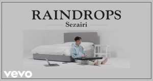 Raindrops