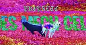 Des Mech Celi Спот