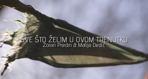 Sve Što Želim U Ovom Trenutku Видеои мусиқӣ