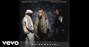 Ndizamshini