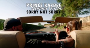 Sorry Not Sorry Musiqi video