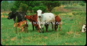 The Wedding Song Glasbeni video