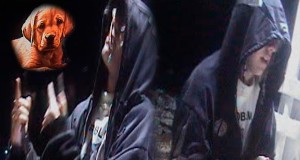 K Tiene K No Tenga Yo Video musical