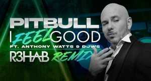 I Feel Good @R3Hab Remix