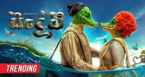 Seedevi