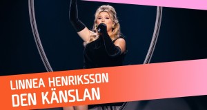 Den Känslan