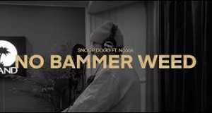 No Bammer Weed Video musical