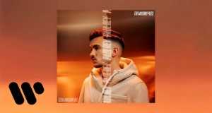 The Missing Piece Videyo Mizik