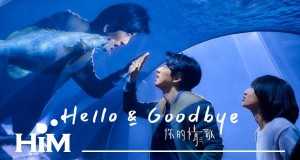 Hello&Goodbye Video musical