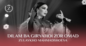 Dilam Ba Giryahoi Zor Omad Video muzik