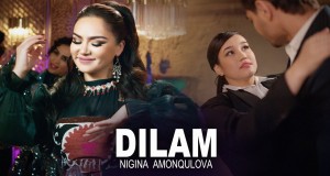Dilam