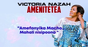 Amenitetea Musiikkivideo