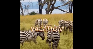 Vacation