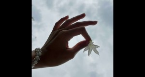 Flower Musiqa video