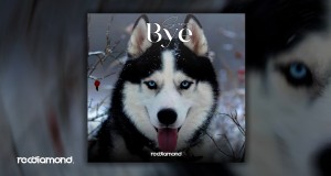 Bye