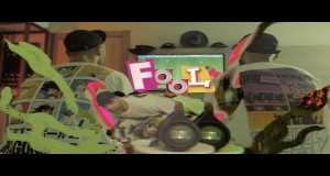 Fool