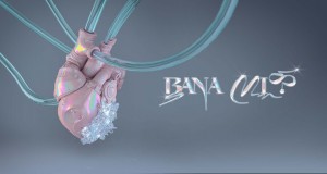 Bana Mi? Waiata Waiata