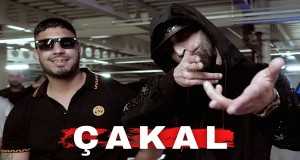 Çakal