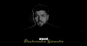 Düşlerimden Gitmedin
