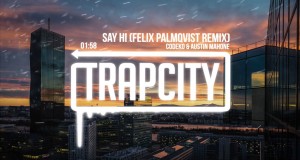 Say Hi (Felix Palmqvist Remix) म्युजिक भिडियो