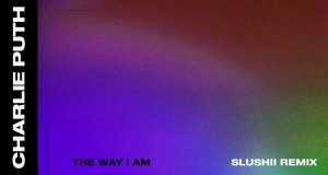 The Way I Am (Slushii Remix) Hudební video