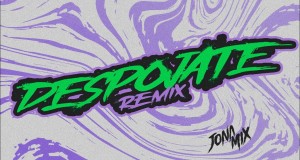 Despojate Vol 2 (Remix) Videyo Mizik