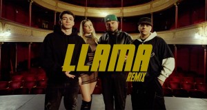 Llama Remix Музикален клип