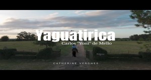 Yaguatirica
