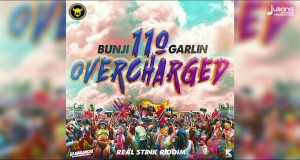110 Overcharge Muzikinis vaizdo klipas