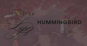 Hummingbird Videyo Mizik