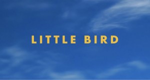 Little Bird موزیک ویدیو