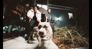 Losses Video musical
