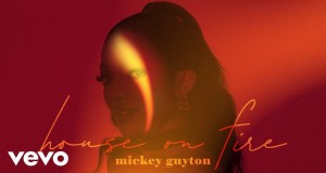 Make 'Em Like You Musiqa video