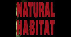 Natural Habitat Хөгжмийн видео