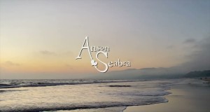 Ocean Of Tears Music Video