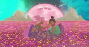 Pink Moon Video Musik