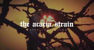 Lyrics Translations Of Crippling Poison By The Acacia Strain Popnable