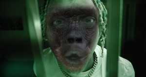 Gorillas Music Video