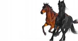 Old Town Road [Remix] Video musik
