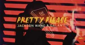 Pretty Please Video musicale