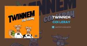 Twinnem Videyo Mizik