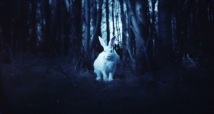 Weeping Willow Musikkvideo