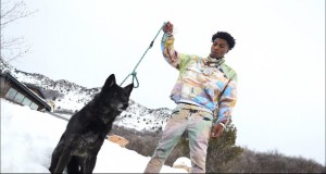 Wolf Cry Video musik