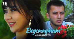 Begonaginam