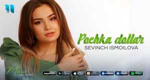 Pochka Dollar Vídeo musical